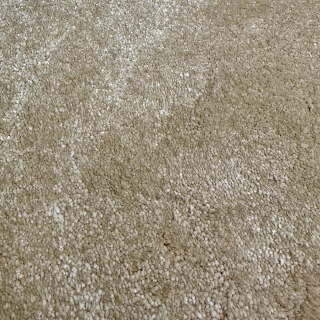 New Amazon Mellow 5m Calverts Carpets